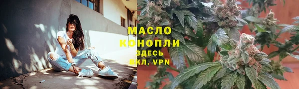 индика Волоколамск